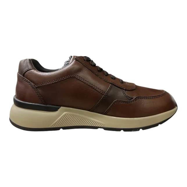 WALK DREAM Sneakers Da Uomo W7044