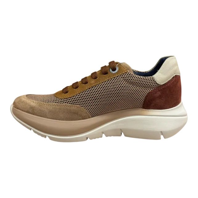 CALLAGHAN Sneakers ALGORITMO SRA Da Donna 62400