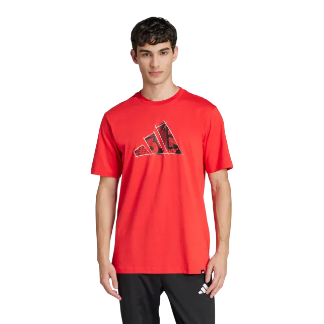 ADIDAS T-Shirt e Polo M PHOTO LOGO T  Da Uomo JJ3934