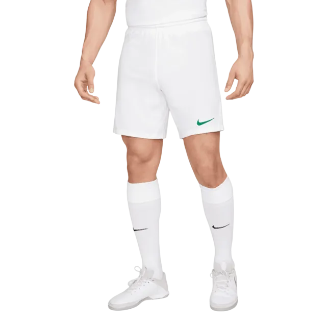 NIKE Shorts Da Uomo BV6855-102