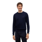 TOMMY HILFIGER Felpe Da Uomo MW0MW28046