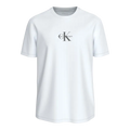 CALVIN KLEIN  T-Shirt e Polo Da Uomo LV04RB866G